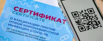 Новосибирские рестораторы из-за QR-кодов потеряли 30-70% выручки - runews24.ru - Новосибирск