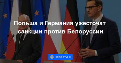 Александр Лукашенко - Польша и Германия ужесточат санкции против Белоруссии - news.mail.ru - США - Англия - Белоруссия - Германия - Польша - Канада - Варшава