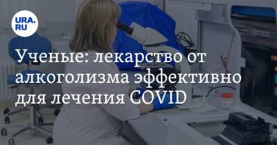 Ученые: лекарство от алкоголизма эффективно для лечения COVID - ura.news - Бостон