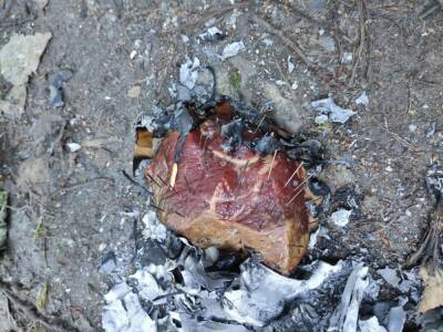 Жителей Московского испугало мясо с начинкой из гвоздей, разбросанное по двору - neva.today - Санкт-Петербург - р-н. Московский