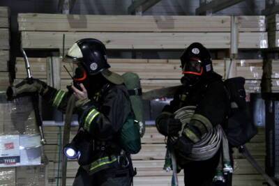 Двое мужчин погибли на пожаре под Новосибирском - novos.mk.ru - Новосибирск - Новосибирская обл.