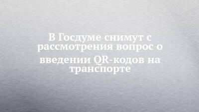 Владимир Путин - Вячеслав Володин - В Госдуме снимут с рассмотрения вопрос о введении QR-кодов на транспорте - chelny-izvest.ru - Россия