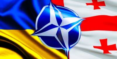 Энтони Блинкен - Госсекретарь США назвал условие вступления Украины и Грузии в НАТО - eadaily.com - США - Украина - Грузия