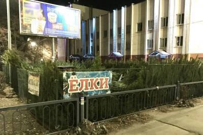 В Саратове заработали первые елочные базары - saratov.mk.ru - Саратов