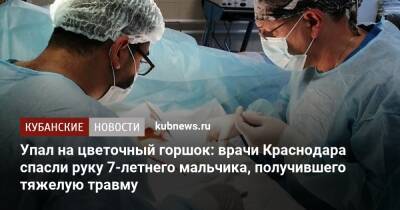 Упал на цветочный горшок: врачи Краснодара спасли руку 7-летнего мальчика, получившего тяжелую травму - kubnews.ru - Краснодарский край - Краснодар