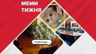 Владимир Путин - Джо Байден - Запрет пластиковых пакетов и атаки кошек на новогодние елки: ТОП самых смешных мемов недели - enovosty.com - Украина