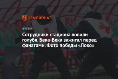 Маркус Гисдоля - Сотрудники стадиона ловили голубя, Бека-Бека зажигал перед фанатами. Фото победы «Локо» - championat.com - Москва - Уфа