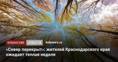 Роман Вильфанд - «Север перекрыт»: жителей Краснодарского края ожидает теплая неделя - kubnews.ru - Россия - Краснодарский край - Краснодар - Ростовская обл.