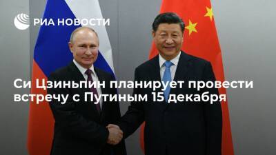Владимир Путин - Си Цзиньпин - Ху Чуньин - Си Цзиньпин планирует провести встречу с Путиным в формате видеоконференции 15 декабря - ria.ru - Россия - Китай
