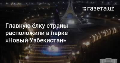 Главную ёлку страны расположили в парке «Новый Узбекистан» - gazeta.uz - Узбекистан - Ташкент