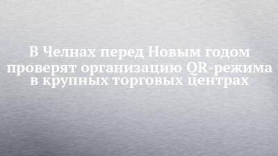 Наиль Магдеев - В Челнах перед Новым годом проверят организацию QR-режима в крупных торговых центрах - chelny-izvest.ru - респ. Татарстан - Набережные Челны