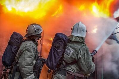 В Смоленской области женщина серьезно пострадала, пытаясь потушить пожар - rabochy-put.ru - Смоленская обл.