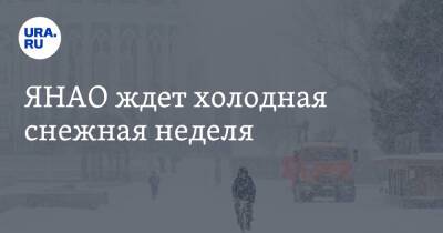 ЯНАО ждет холодная снежная неделя - ura.news - окр. Янао