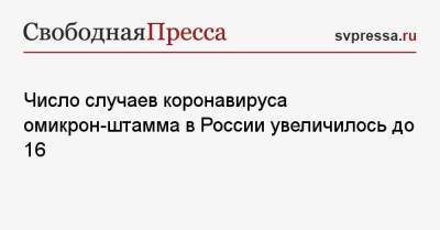 Татьяна Голикова - Число случаев коронавируса омикрон-штамма в России увеличилось до 16 - svpressa.ru - Россия - Юар