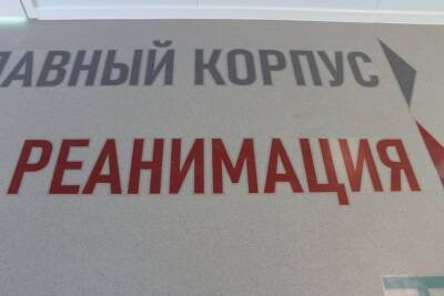 Максим Забелин - Стало известно, сколько жителей Башкирии попали в реанимацию из-за COVID-19 - ufacitynews.ru - Башкирия