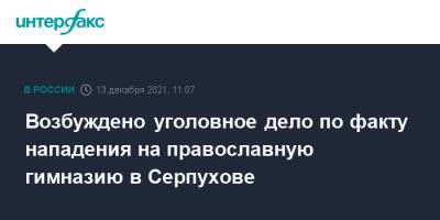 Александр Бастрыкин - Возбуждено уголовное дело по факту нападения на православную гимназию в Серпухове - interfax.ru - Москва - Россия - Серпухов