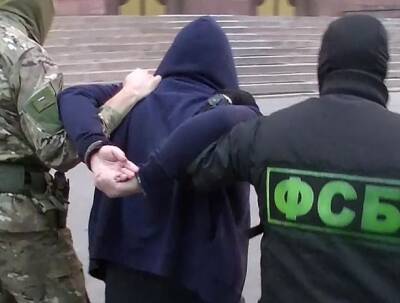 Егор Краснов - Украинские неонацисты готовили теракты в учебных заведениях России - vpk-news.ru - Россия - Украина