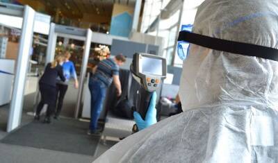 Татьяна Голикова - Анна Попова - У 16 россиян, которые накануне вернулись из ЮАР, подтвердили штамм "Омикрон" - newizv.ru - Россия - Юар