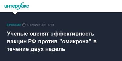 Татьяна Голикова - Ученые оценят эффективность вакцин РФ против "омикрона" в течение двух недель - interfax.ru - Москва - Россия - Юар