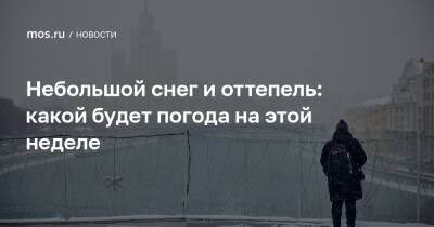 Небольшой снег и оттепель: какой будет погода на этой неделе - mos.ru - Москва