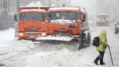 Леонид Старков - В Москве пройдет самый сильный снегопад с начала зимы - iz.ru - Москва - Израиль