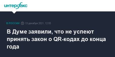 Василий Пискарев - В Думе заявили, что не успеют принять закон о QR-кодах до конца года - interfax.ru - Москва - Россия