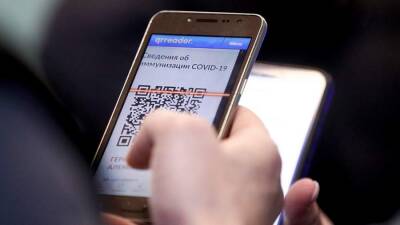 Владимир Васильев - Василий Пискарев - Пискарев назвал сроки принятия закона о QR-кодах в общественных местах - iz.ru - Россия - Израиль