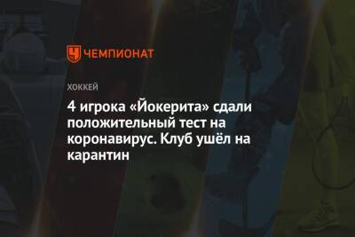 4 игрока «Йокерита» сдали положительный тест на коронавирус. Клуб ушёл на карантин - championat.com - Москва - Финляндия - Минск - Хельсинки