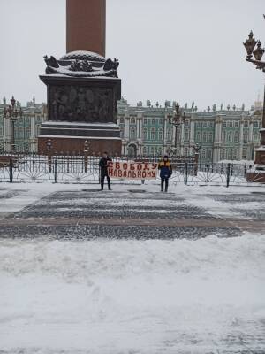 Алексей Навальный - В центре Петербурга задержали пикетчиков с плакатом «Свободу Навальному» - znak.com - Москва - Россия - Санкт-Петербург - Германия - Берлин
