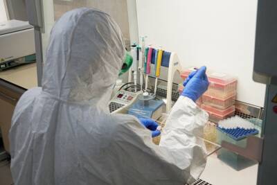 За минувший день в Иркутской области выявили 596 новых случаев COVID-19 - runews24.ru - Иркутская обл.