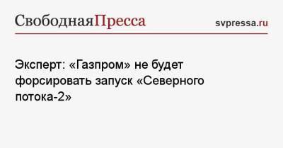 Эксперт: «Газпром» не будет форсировать запуск «Северного потока-2» - svpressa.ru