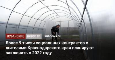 Более 9 тысяч социальных контрактов с жителями Краснодарского края планируют заключить в 2022 году - kubnews.ru - Краснодарский край