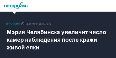 Сергей Миронов - Наталья Котова - Мэрия Челябинска увеличит число камер наблюдения после кражи живой елки - interfax.ru - Москва - Челябинск
