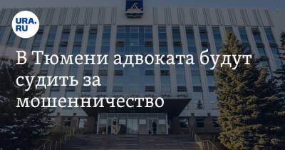 В Тюмени адвоката будут судить за мошенничество. Она завладела имуществом мэрии - ura.news - Тюмень - Тюменская обл. - Калужская обл.
