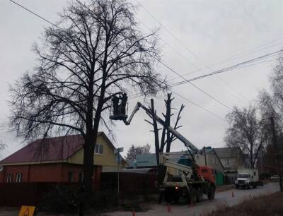 В Ульяновске за неделю убрали 34 аварийных дерева - ulpravda.ru - Ульяновск - район Ленинский