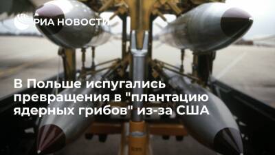 Сергей Рябков - Читатели Interia предрекли Польше превращение в ядерный полигон из-за американских бомб - ria.ru - Москва - Россия - США - Вашингтон - Ирак - Польша - Варшава