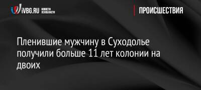 Пленившие мужчину в Суходолье получили больше 11 лет колонии на двоих - ivbg.ru - Украина - Ленинградская обл. - Приозерск - район Приозерский