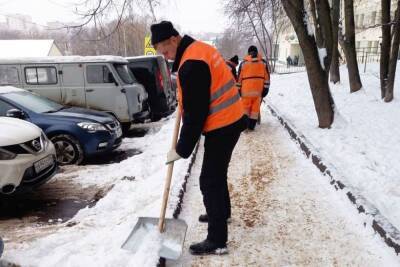 В Серпухове обработали тротуары и удалили аварийные деревья - serp.mk.ru