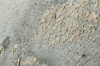 В Воронеже жители частного сектора на Беговой снова пожаловались на зловонные реки под окнами - vrn.mk.ru - Воронеж