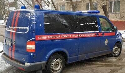 В Подмосковье задержаны два подростка по подозрению в убийстве оператора - newizv.ru - Россия - Московская обл.