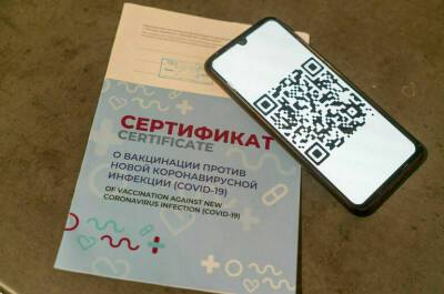 Татьяна Голикова - Анна Кузнецова - Голикова подтвердила, что законопроект о QR-кодах не затронет детей - pnp.ru - Россия