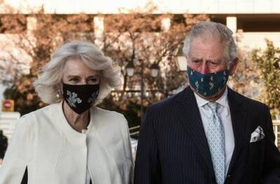принц Чарльз - Камилла - Чарльз - Принц Чарльз и его супруга Камилла предстали в защитных масках на новой рождественской открытке - argumenti.ru