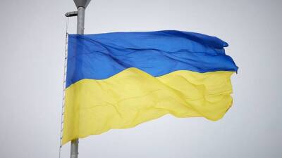 Владимир Путин - Олег Николенко - На Украине отреагировали на слова Путина о возврате России активов СССР - vm.ru - Москва - Россия - Украина