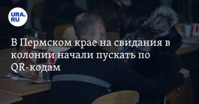 В Пермском крае на свидания в колонии начали пускать по QR-кодам - ura.news - Пермский край