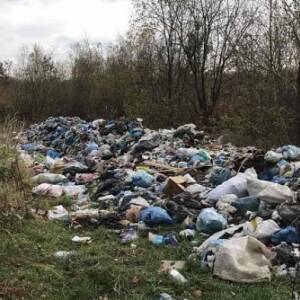 В Запорожской области коммунальное предприятие организовало свалку. Фотофакт - reporter-ua.com - Запорожская обл.
