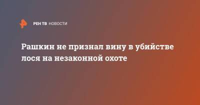 Валерий Рашкин - Рашкин не признал вину в убийстве лося на незаконной охоте - ren.tv - Россия
