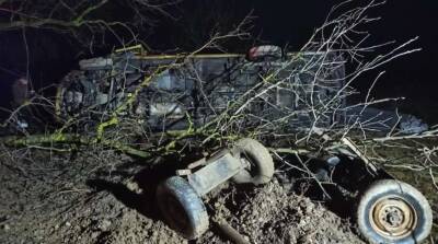 На Закарпатье в смертельном ДТП микроавтобус въехал в повозку с людьми - lenta.ua - Украина - Киев - Закарпатская обл.