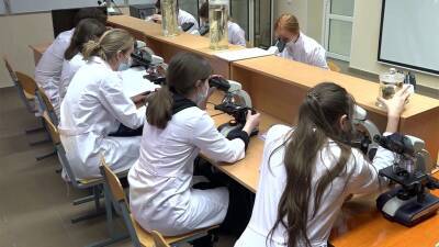 Правительство подготовило план на случай распространения штамма «омикрон» в России - 1tv.ru - Россия - Англия - Юар