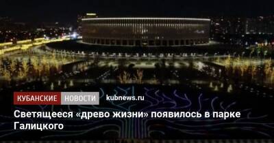 Светящееся «древо жизни» появилось в парке Галицкого - kubnews.ru - Краснодарский край - Краснодар - Благоустройство