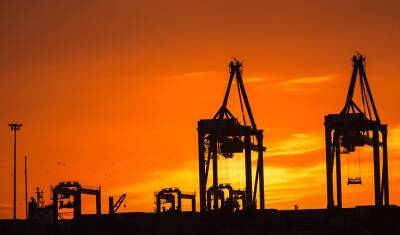 ОПЕК не изменила прогнозы по росту спроса на нефть на ближайшие два года - newizv.ru